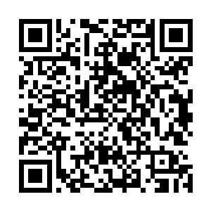 王玉花一听一家人竟然都同意不收地里的粮食还帮着交粮税二维码生成