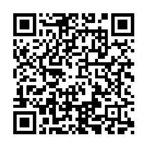 王瑶芸不可能做这样的事……在苏小爱的认知里二维码生成