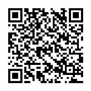 王璞和老太太两个人也是颇为意外的看着一眼王阳二维码生成