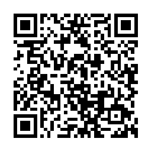 王甲第顺着GPS上的导航一路来到西城区的别墅区二维码生成