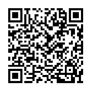 王皓和于浩奇介绍魔幻金塔的时候也是充满自得二维码生成