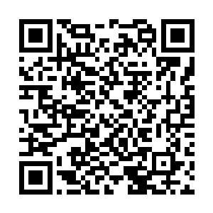 王者神兽巢穴里面的这一株仙药大概有10公分之高了二维码生成