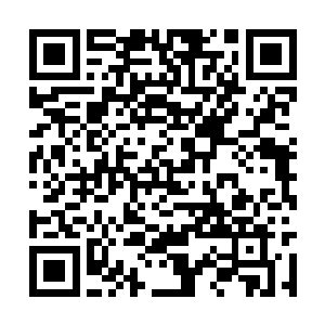 王若萍见苗氏根本没有要打姚忠举和姚春桃的意思二维码生成