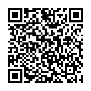 王莺只能把注意力从马纵横的身上转移到马易的身上二维码生成