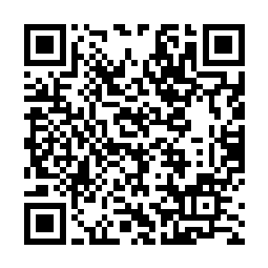 王语嫣一口气背完了换施水阁中的一百多部经典名称后二维码生成