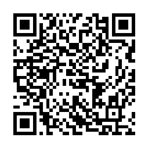 王铁花一下子就想到了鬼鬼祟祟穿成婆子出门的王金花二维码生成