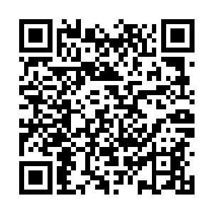 王阳也是第一时间的就跑到了机场去耐心的等待了二维码生成