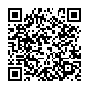 王阳出去的时候就给自己的爷爷打了一个电话过去二维码生成