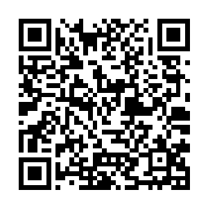 王阳显然也是注意到了自己爷爷和奶奶的脸色和状况二维码生成