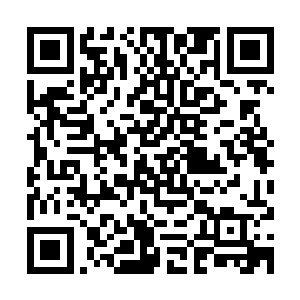 王雅君也不管林烽到底是真的相信了还是故意装傻给自己台阶下二维码生成