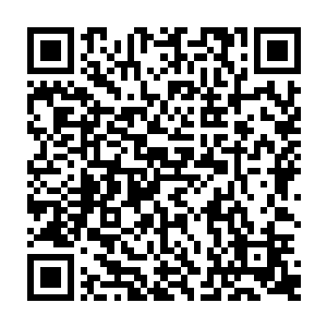 玛丽娜和苏菲亚已经再没有心思去思考为什么艾莉娜在夏云杰面前会如此的谦卑二维码生成