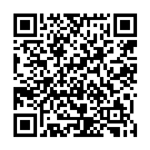 玛利亚小姐背后佩戴着曾曾曾曾祖母一模一样的华丽翅膀二维码生成