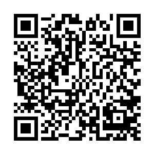 玩具一个……在游戏初期也是一入手就遭觉哥卖店的命运二维码生成