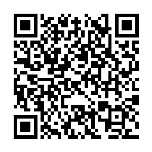 现在……燕正天目光冷冷的落在一侧的花千束身上二维码生成