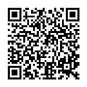 现在一看……看来你们得到了这只老鼠的不少力量呢二维码生成