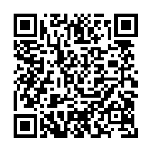 现在世间可能知道陈长生奇遇真相的人只有三位二维码生成