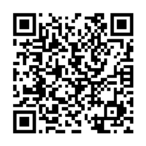 现在东方世家已经开始秘密调查其他几大古武世家二维码生成