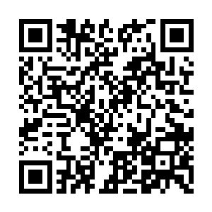 现在两地都已经形成了各具特色的竹木加工产业二维码生成