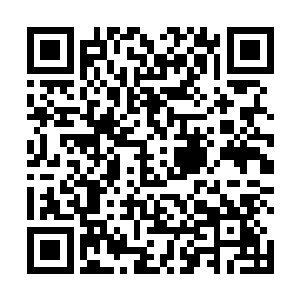 现在中央是真的对生态文明绿色文明提到了很高的地位二维码生成