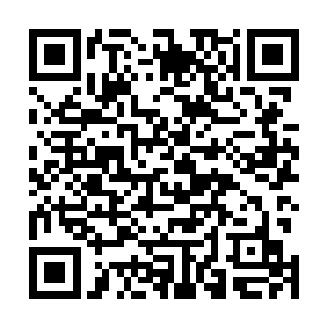 现在事实证明孙子轩之前学到的秘法根本就没有半点作用二维码生成