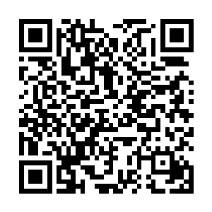 现在他们也顾不得骂楚枫和张十三这一对腹黑的师徒了二维码生成