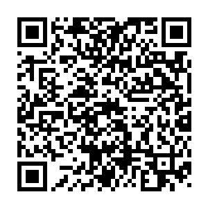 现在他们又在利用自己的言论自由对雨果一兰开斯特进行舆论压迫二维码生成