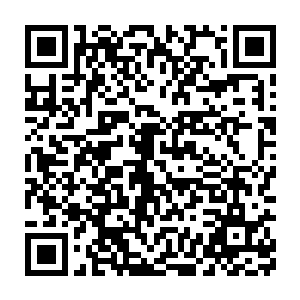 现在他们欠陶老爷子一万两圣银了……而明年说不定还会爆发天灾人祸二维码生成