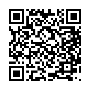 现在他们的战斗根本就没有丝毫的花哨二维码生成