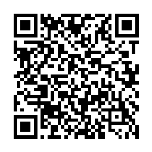 现在他们竟然发现玄青青竟然是天元森林主宰的孙女二维码生成