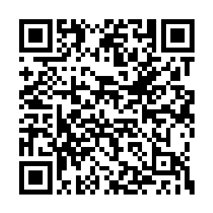 现在他四肢上那些红级力量已经全都被他解除了二维码生成