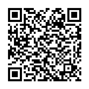 现在他手中唯一能够显得突出一些的就是他手中的花了二维码生成