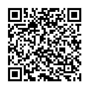 现在他每天主要做的事就是为稻香村的村民修理农具二维码生成