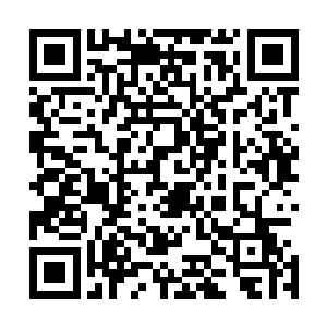 现在他的阅读范围已经扩展到各种各样近战武器的入门技能二维码生成