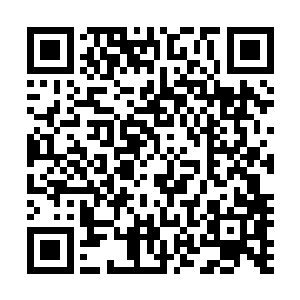 现在他给我的感觉像极了日本的黑影忍者一样充满了神秘感二维码生成