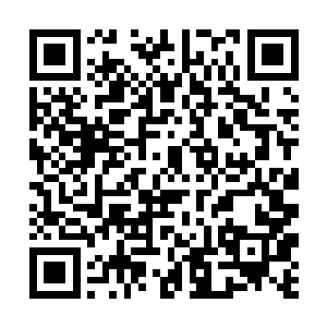 现在你不觉得在这里我们来做一家海岛酒店很完美么二维码生成