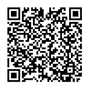 现在你应该可以明白我为什么在知道那位前辈是先天之上的存在而这么震惊了吧二维码生成