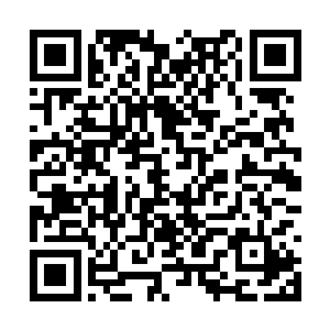 现在全国网民都等着听关于这位新科张丹枫的新闻二维码生成