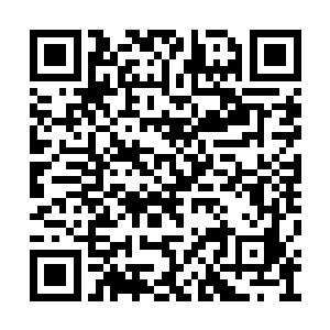 现在全松江有几个人敢拍胸脯说一定能请动老边二维码生成