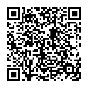 现在关于陆为民的去向似乎都有点儿成为了宋州市委市政府高层的一个禁忌二维码生成