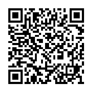 现在关键的是要想办法从林烽手中拿到上古法器二维码生成