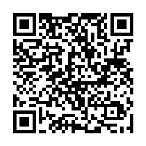 现在再看夏天祁淡然冷漠的样子只觉得对方太过无情二维码生成