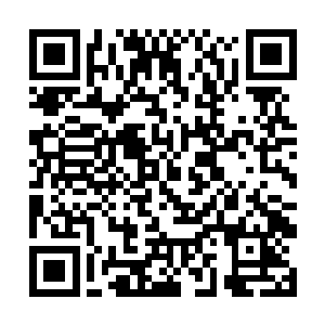 现在刚进入任务就被人暗算然后打的人不人鬼不鬼的二维码生成