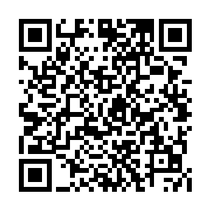 现在单凭他的实力根本无法阻止这些人进入凹洞二维码生成