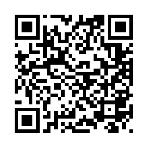 现在却多了一分活下去的生机神采二维码生成