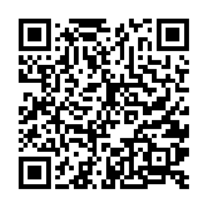 现在又是女娲……感觉最近免费的事情越来越多了啊二维码生成