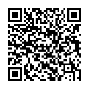 现在发现这个虚无的世界里充满了和他别无二致的生命二维码生成