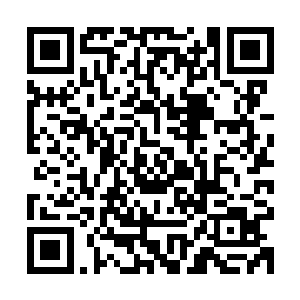 现在只看白角族一气给新生大巫增添了二十四名最强保护者来看二维码生成
