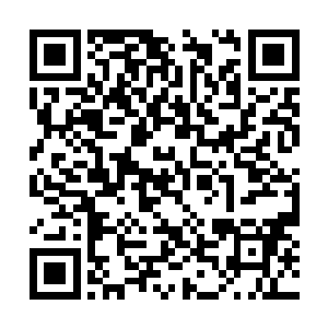 现在可算是落入了他的手中了……虽然提前采摘了二维码生成