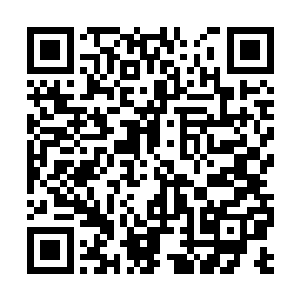 现在各大五级城市的高手全都在自家的宝库之中啊二维码生成