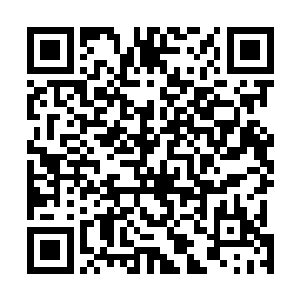 现在听对方的意思好像是要加入自己丈夫那个空壳子公司二维码生成